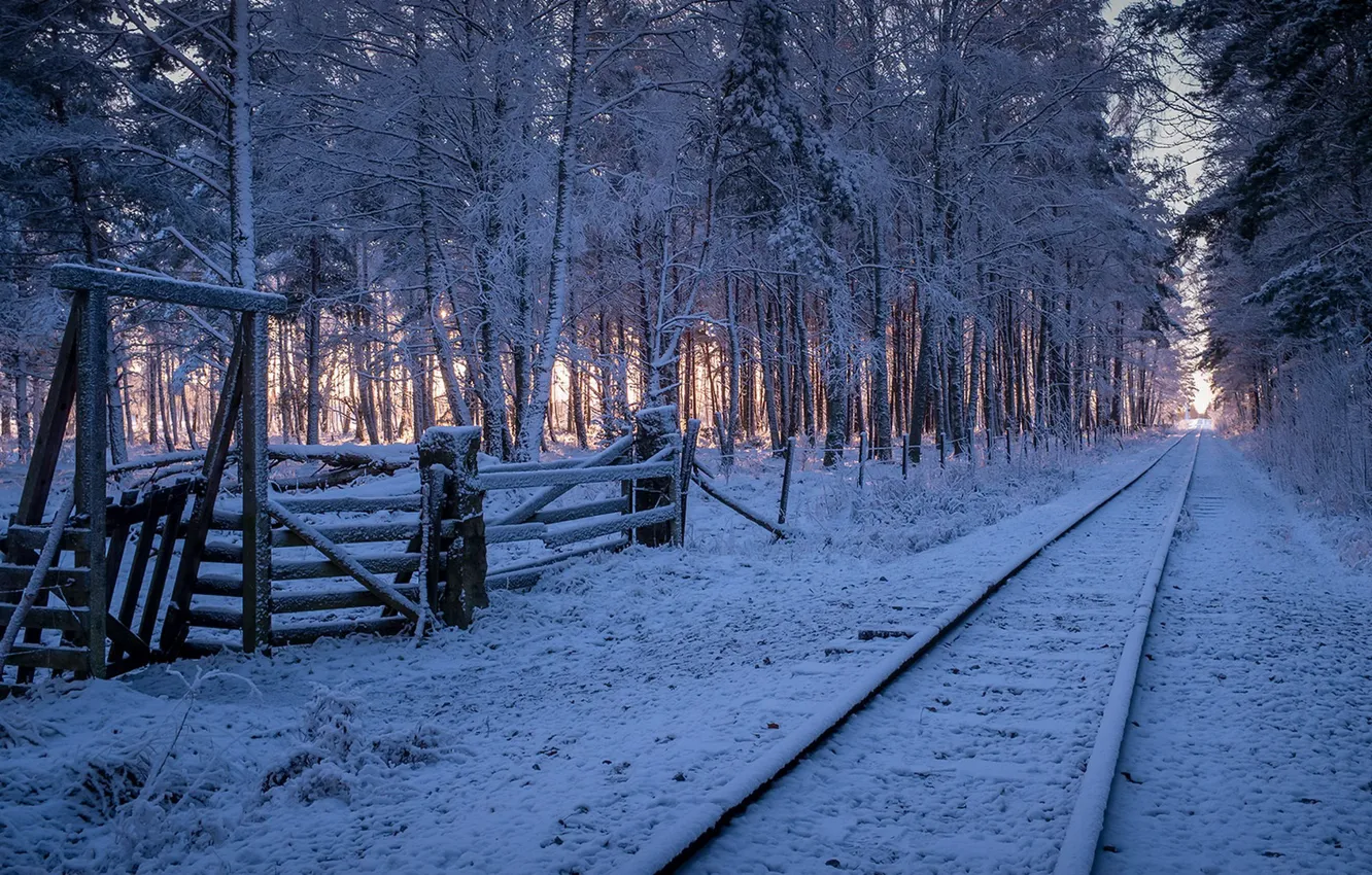 Photo wallpaper winter, forest, railroad