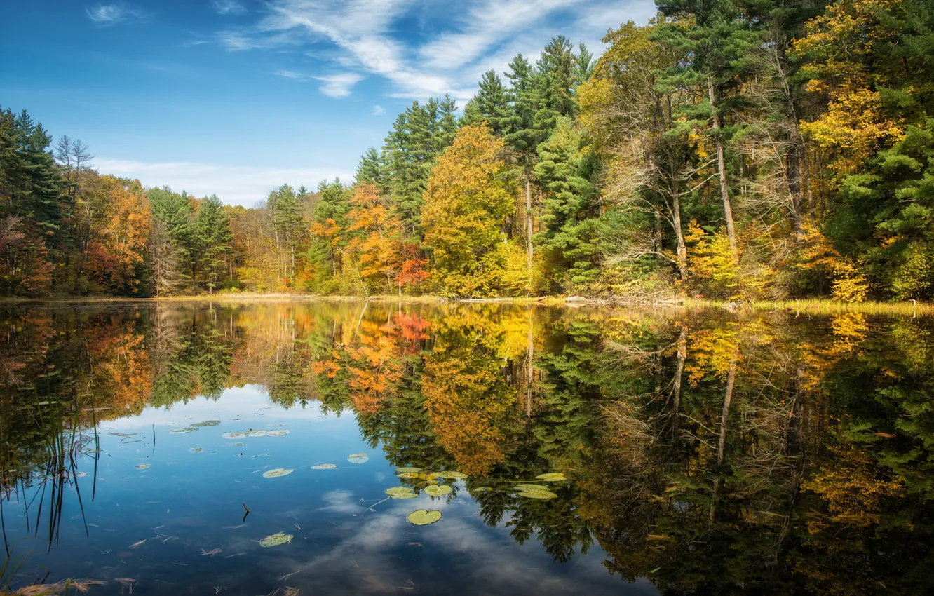 Photo wallpaper autumn, forest, trees, lake, reflection, Connecticut, Norfolk