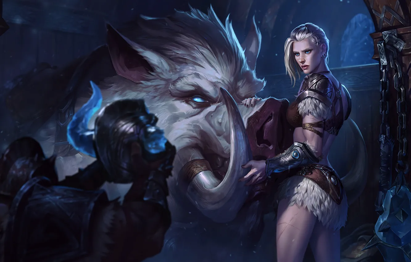 Photo wallpaper art, helmet, boar, splash, League of Legends, artwork, LoL, League Of Legends