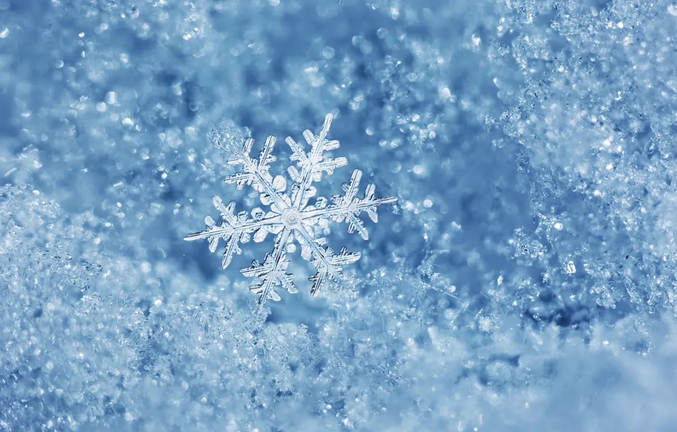 Photo wallpaper ice, winter, water, macro, ice, snowflake