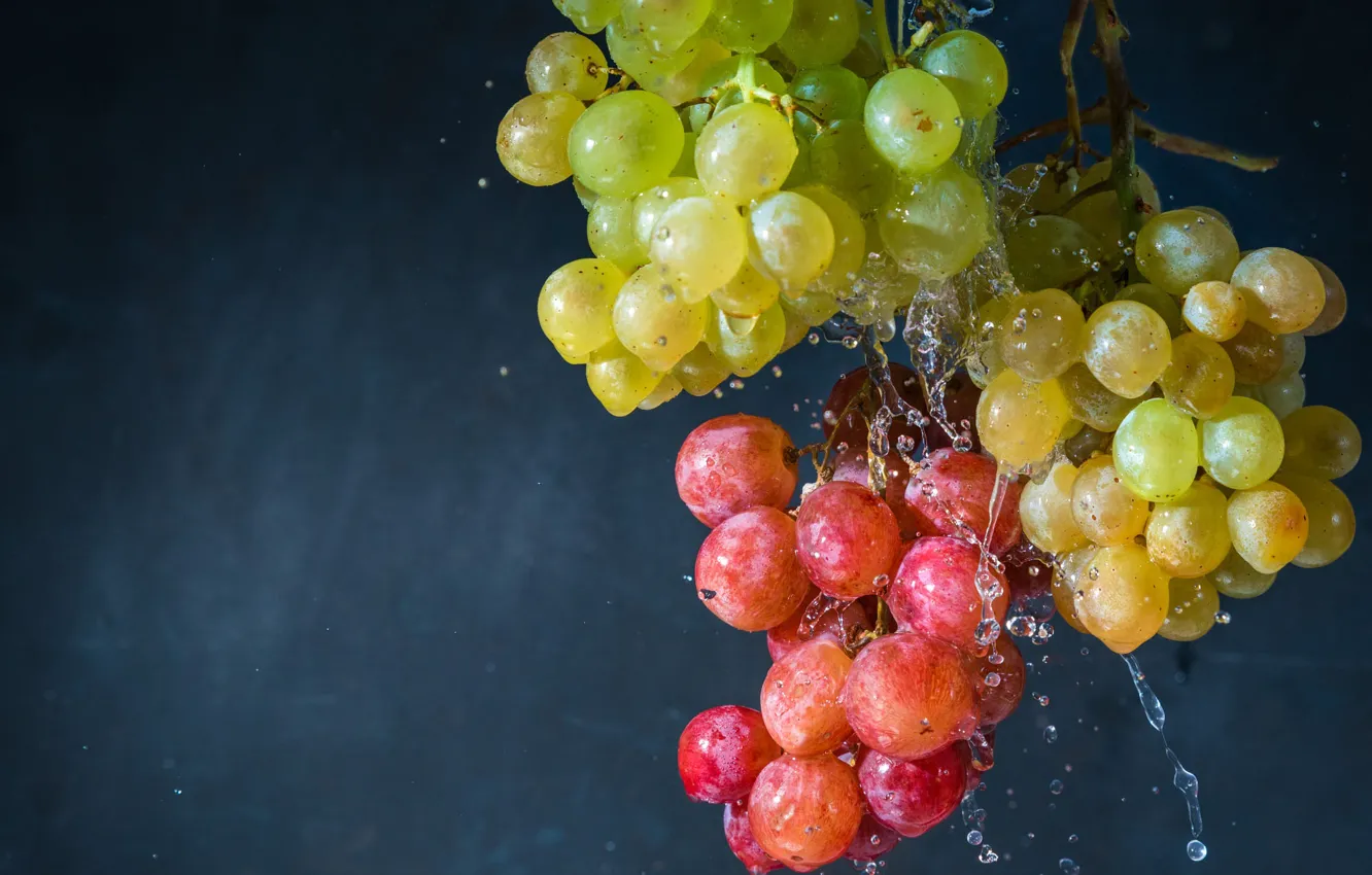 Photo wallpaper water, drops, squirt, red, green, grapes, blue background, bunches of grapes