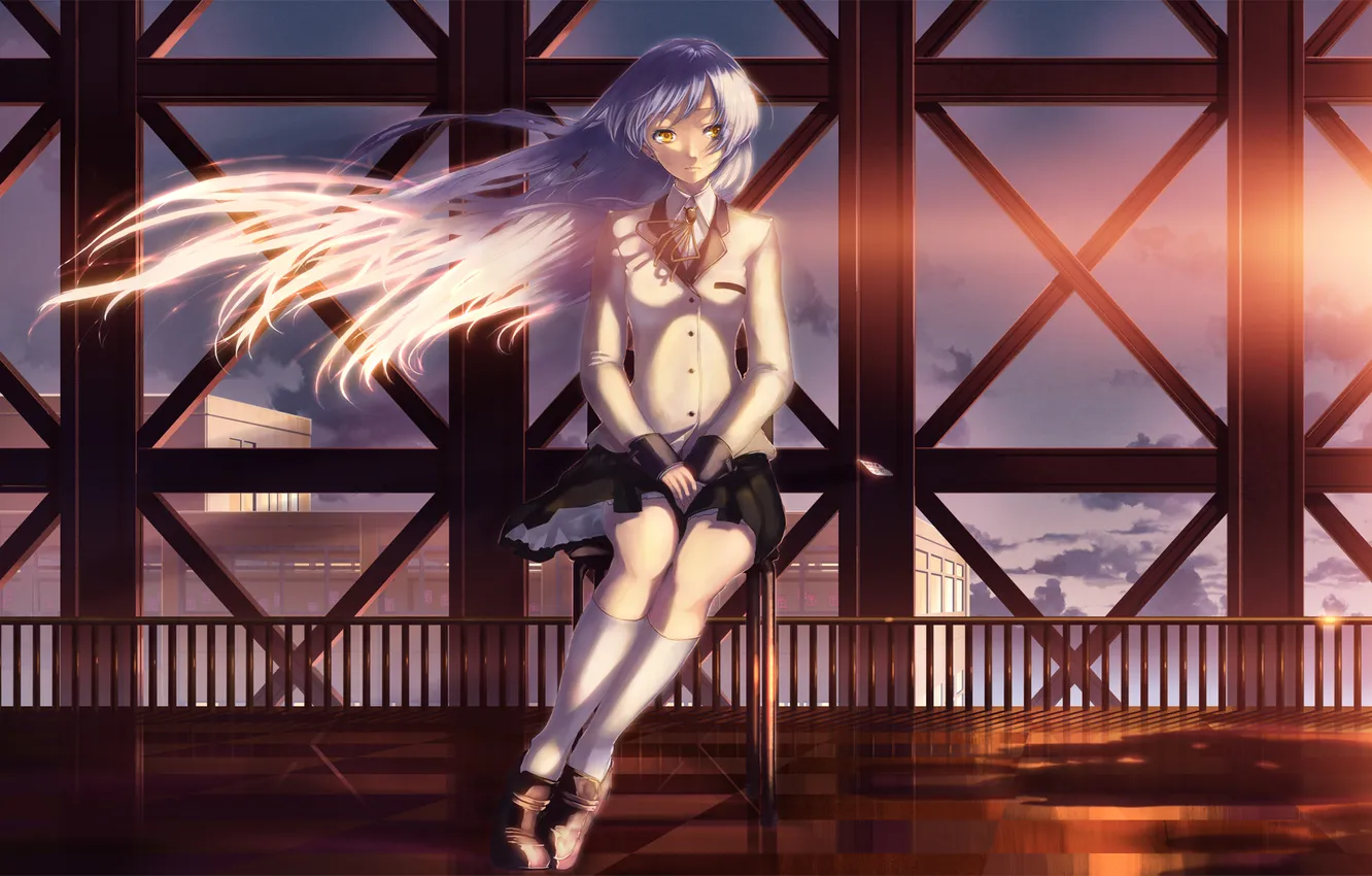 Photo wallpaper roof, girl, sunset, long hair, sunset, angel beats