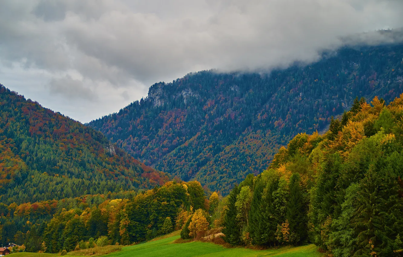 Photo wallpaper field, autumn, forest, grass, clouds, trees, mountains, Germany