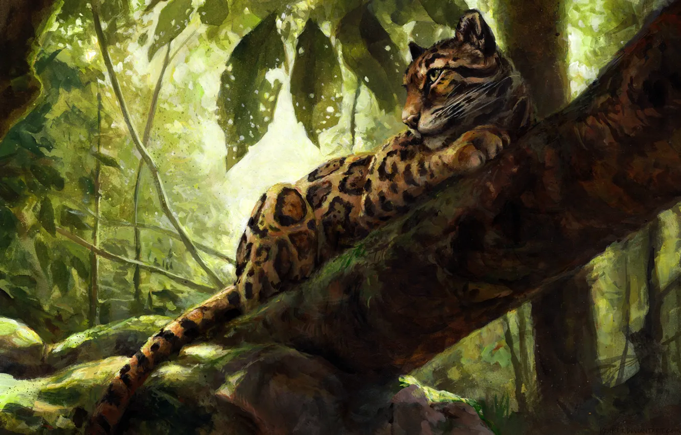 Photo wallpaper nature, tree, leopard, by kenket