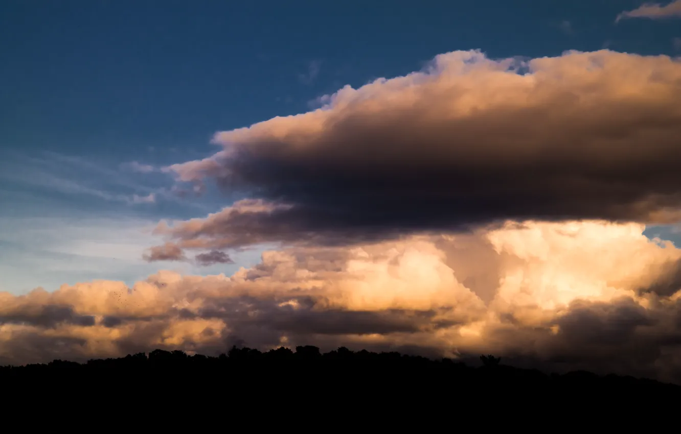 Photo wallpaper forest, sky, sunset, autumn, clouds, bright