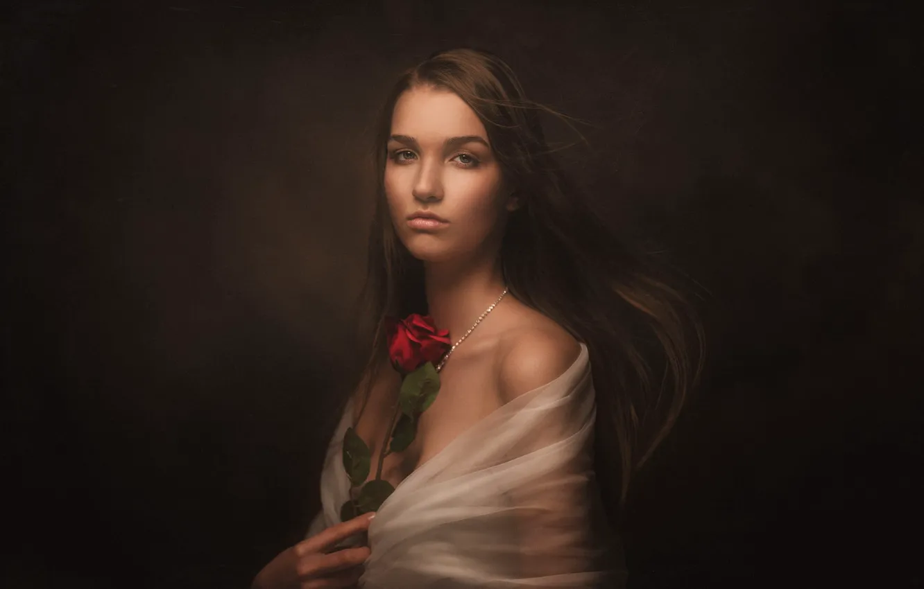Photo wallpaper look, girl, face, the dark background, rose, portrait, Cape, long-haired