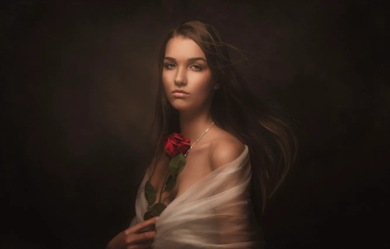 Photo wallpaper look, girl, face, the dark background, portrait, roses, Cape, long-haired