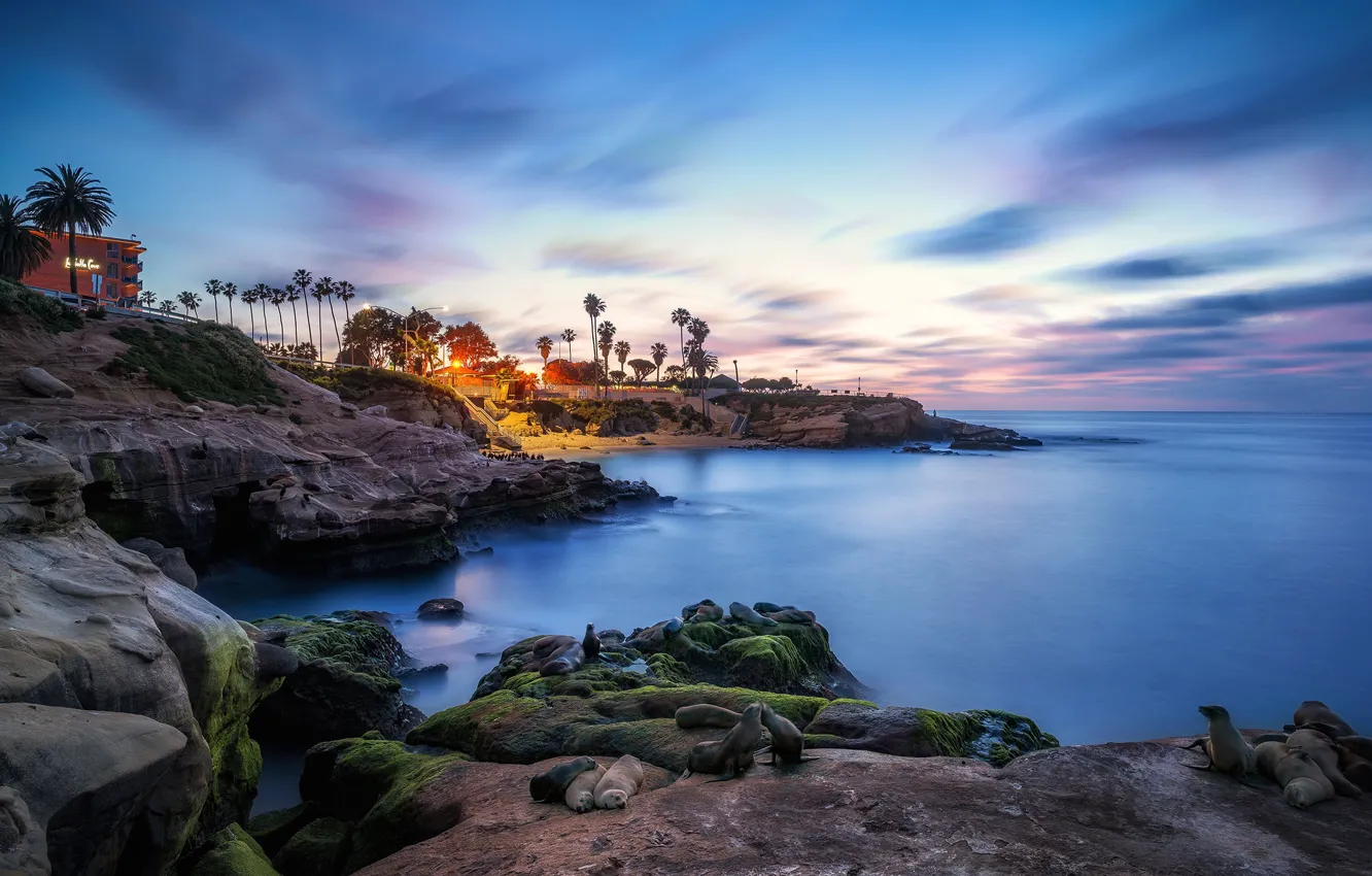 Photo wallpaper sea, the sky, sunset, palm trees, CA, Navy seals