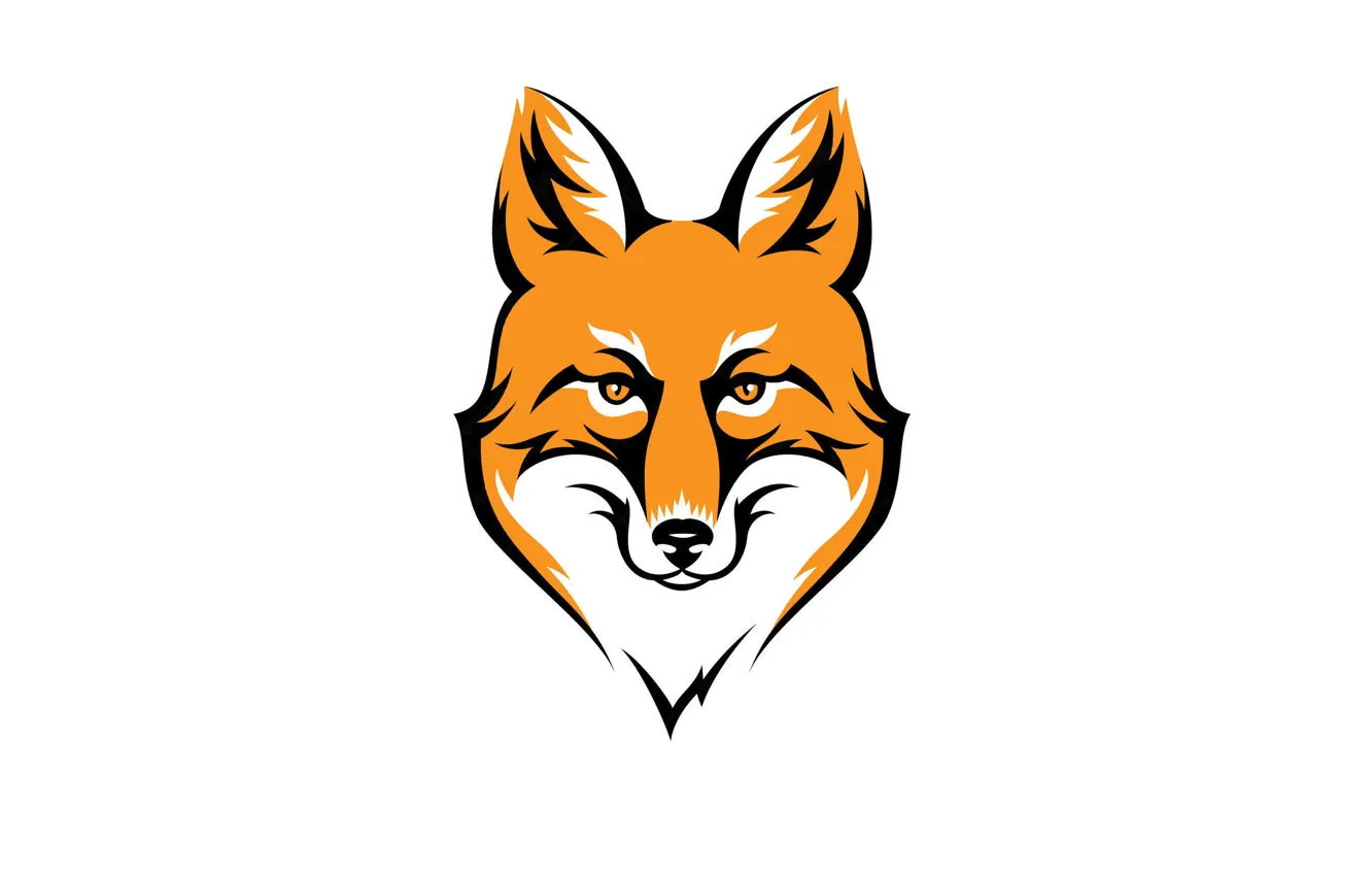 Photo wallpaper face, animal, minimalism, head, Fox, red, fox