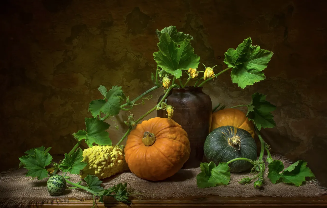 Photo wallpaper leaves, table, pumpkin, pot, still life, different, burlap, vessel