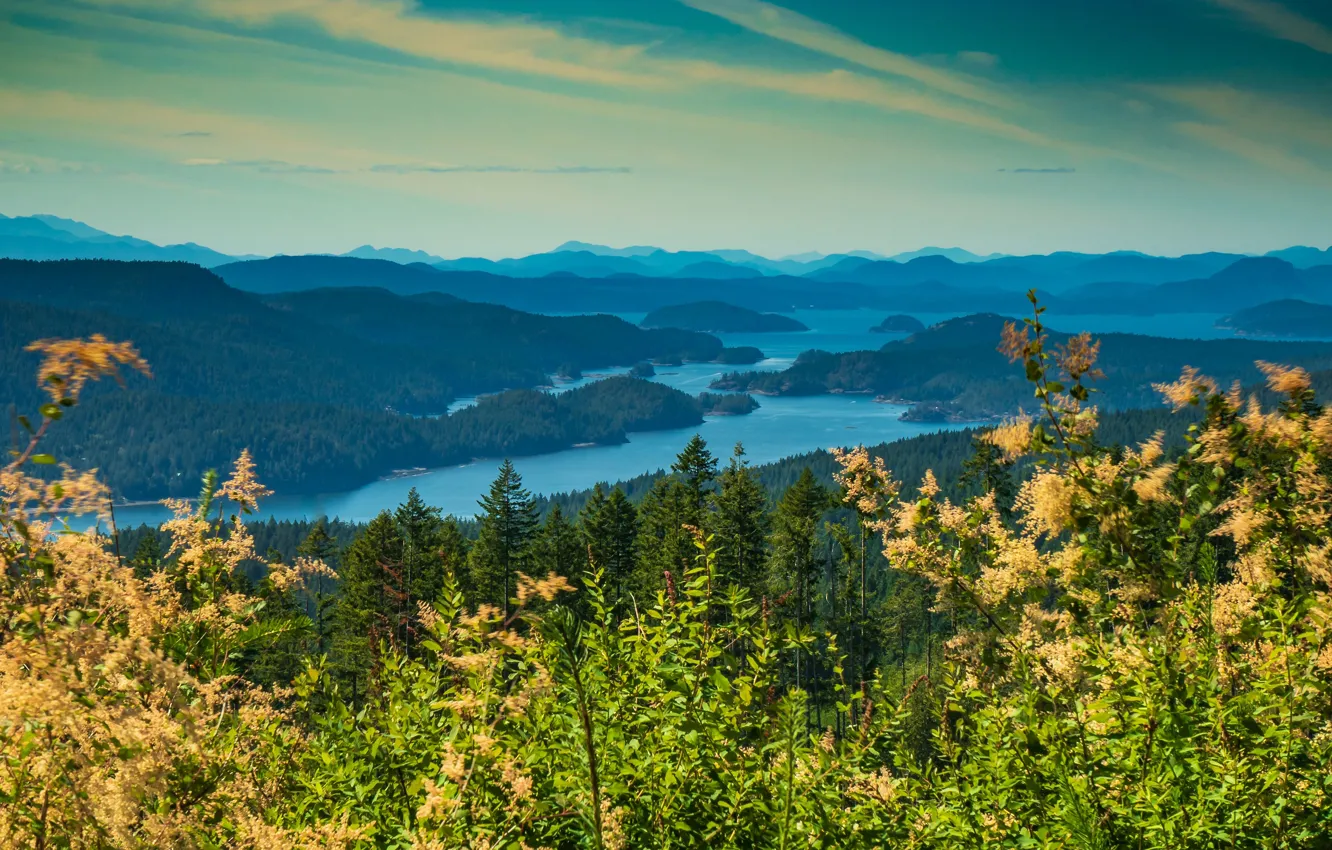 Photo wallpaper autumn, forest, island, Canada, Bay, Canada, British Columbia, British Columbia