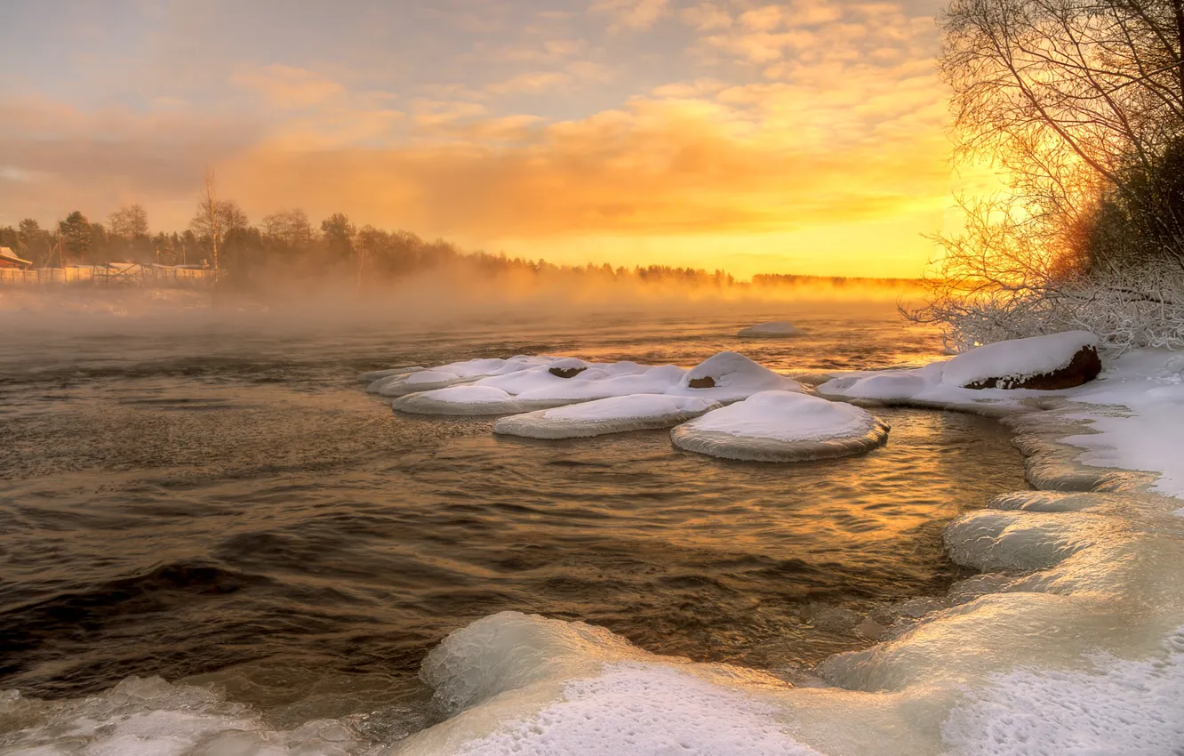 Photo wallpaper winter, water, snow, trees, landscape, nature, lake, ice