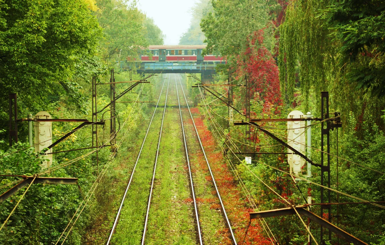 Photo wallpaper grass, trees, rails, train, cars