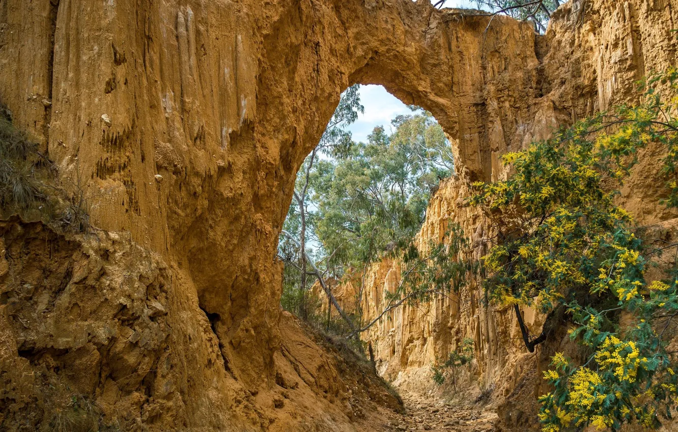 Photo wallpaper flowers, nature, rocks