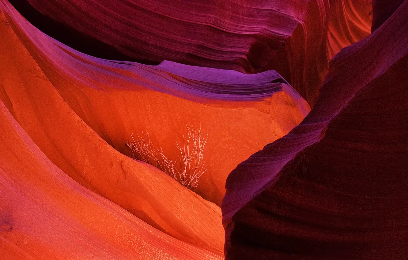 Photo wallpaper rocks, AZ, USA, antelope canyon