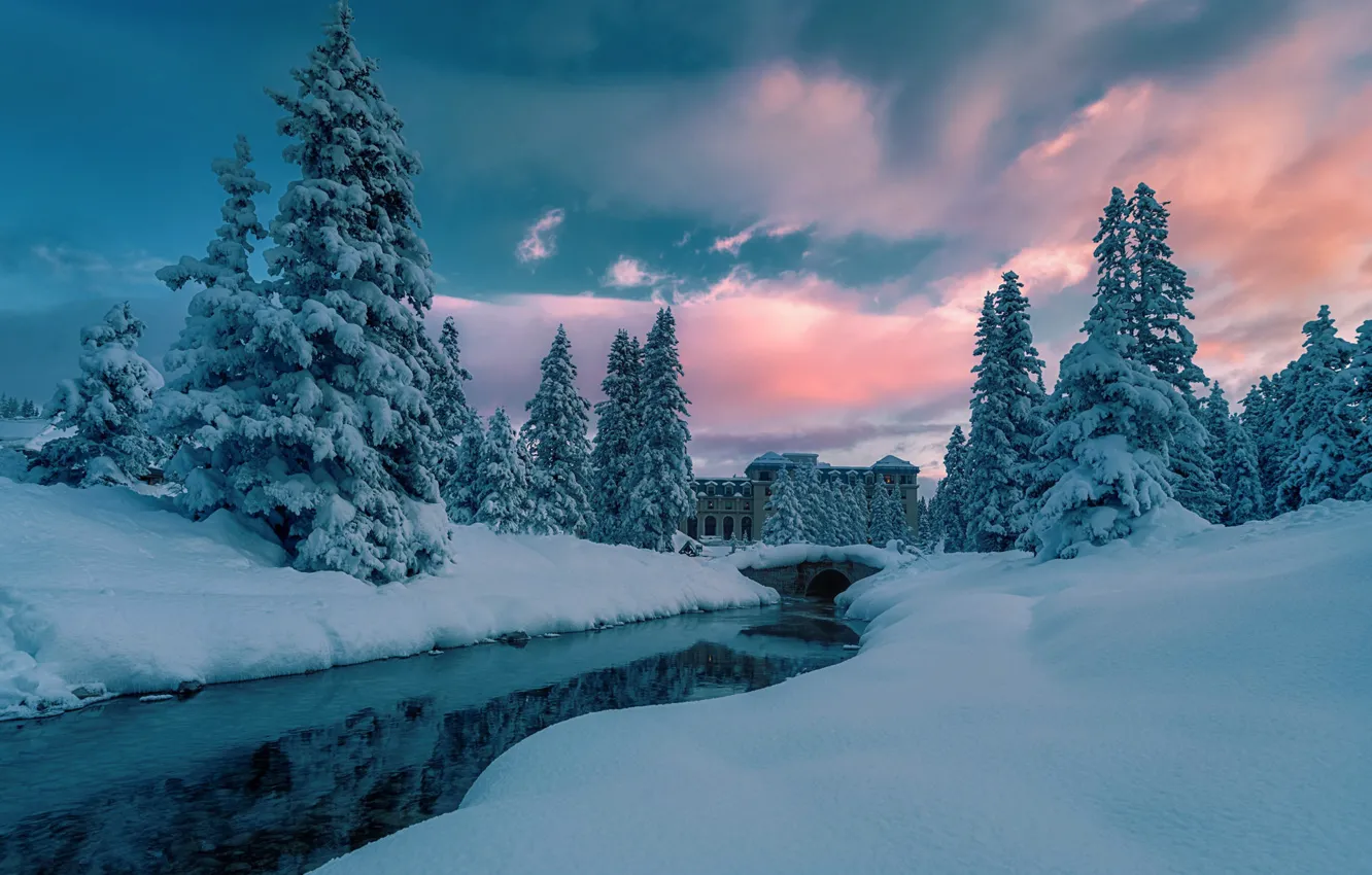 Photo wallpaper Water, Winter, River, Snow, Morning, Spruce forest