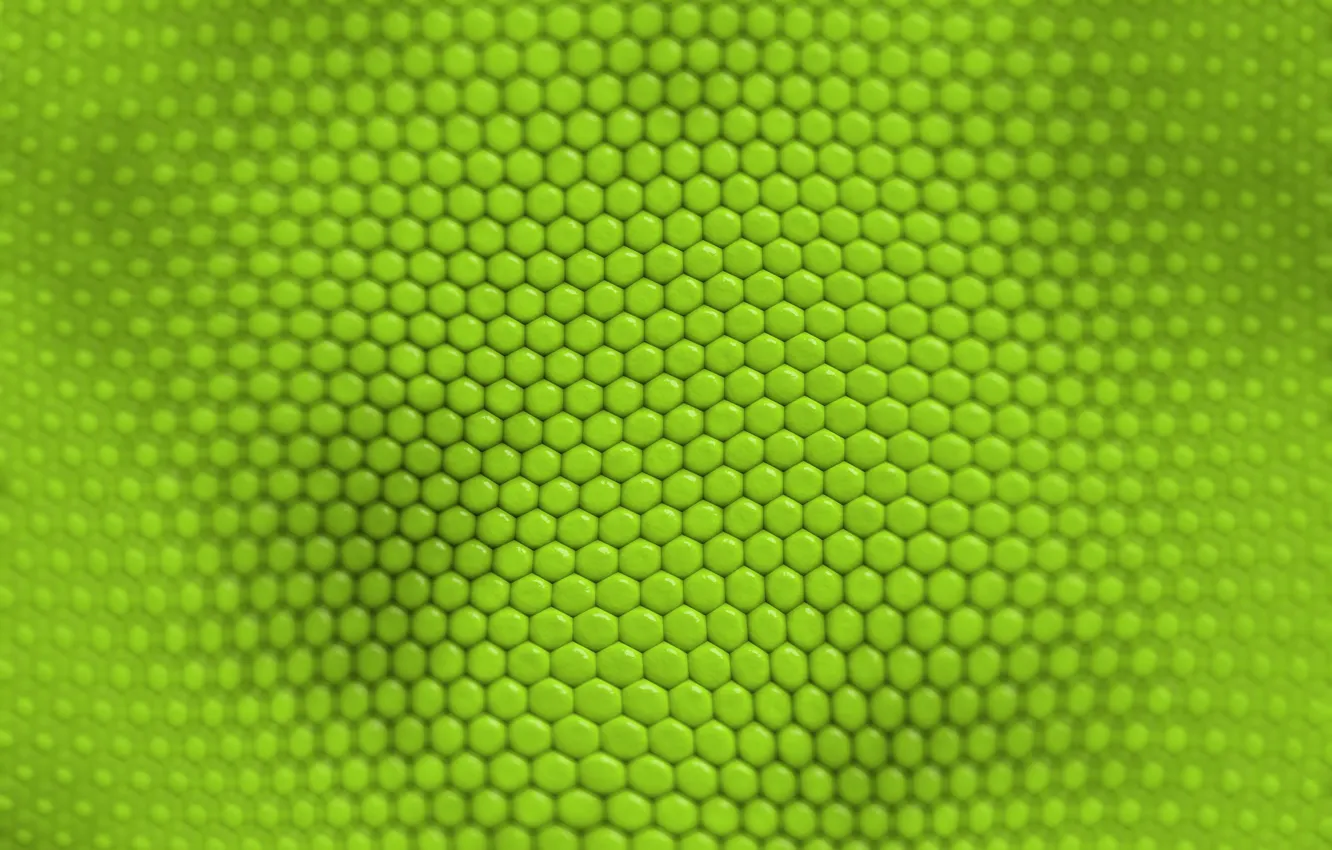 Photo wallpaper green, texture, cell