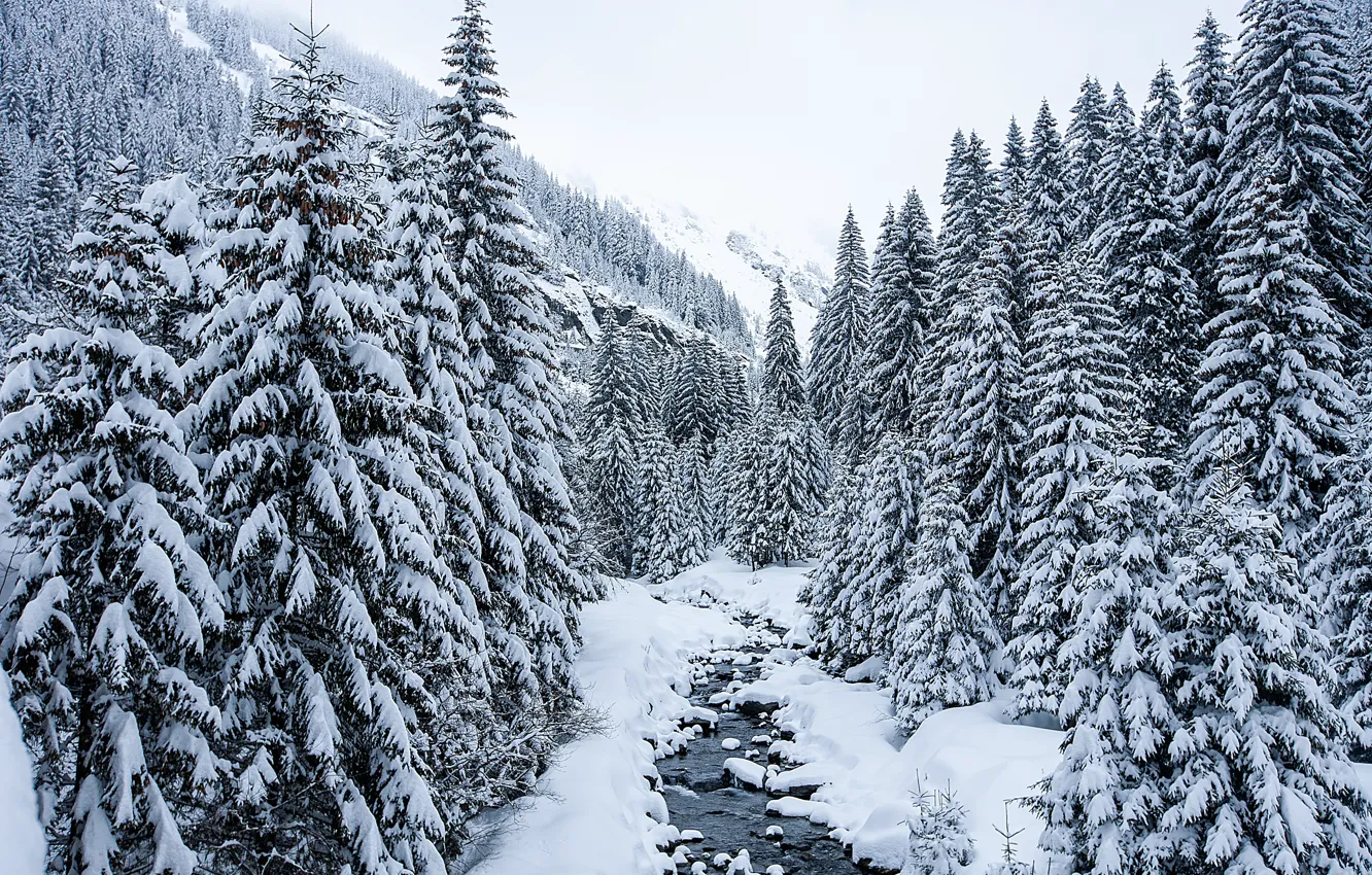Photo wallpaper winter, snow, trees, landscape, tree, river, landscape, winter