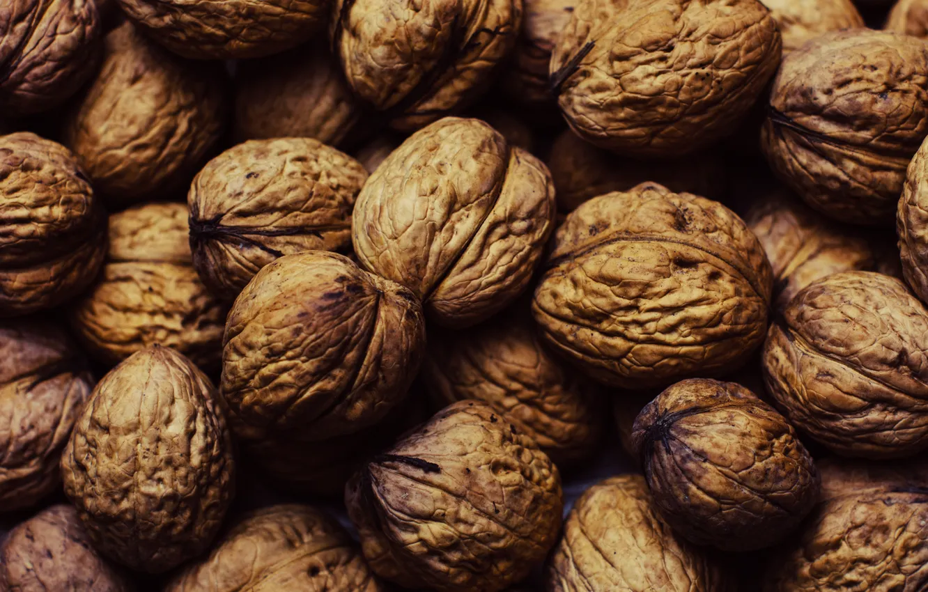 Photo wallpaper walnut, nuts, walnuts, walnut