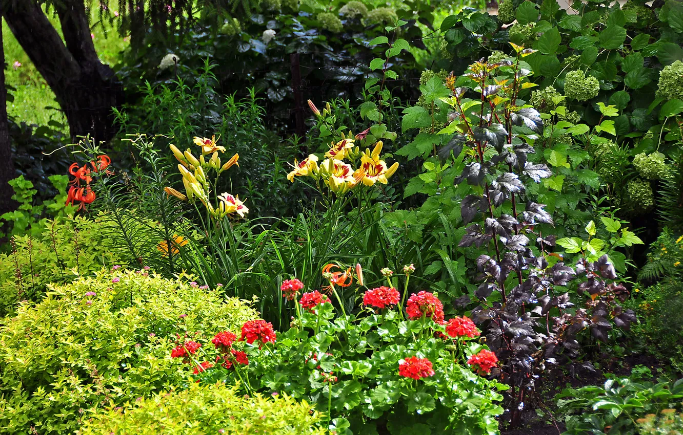 Photo wallpaper trees, flowers, Lily, garden, the bushes, geranium