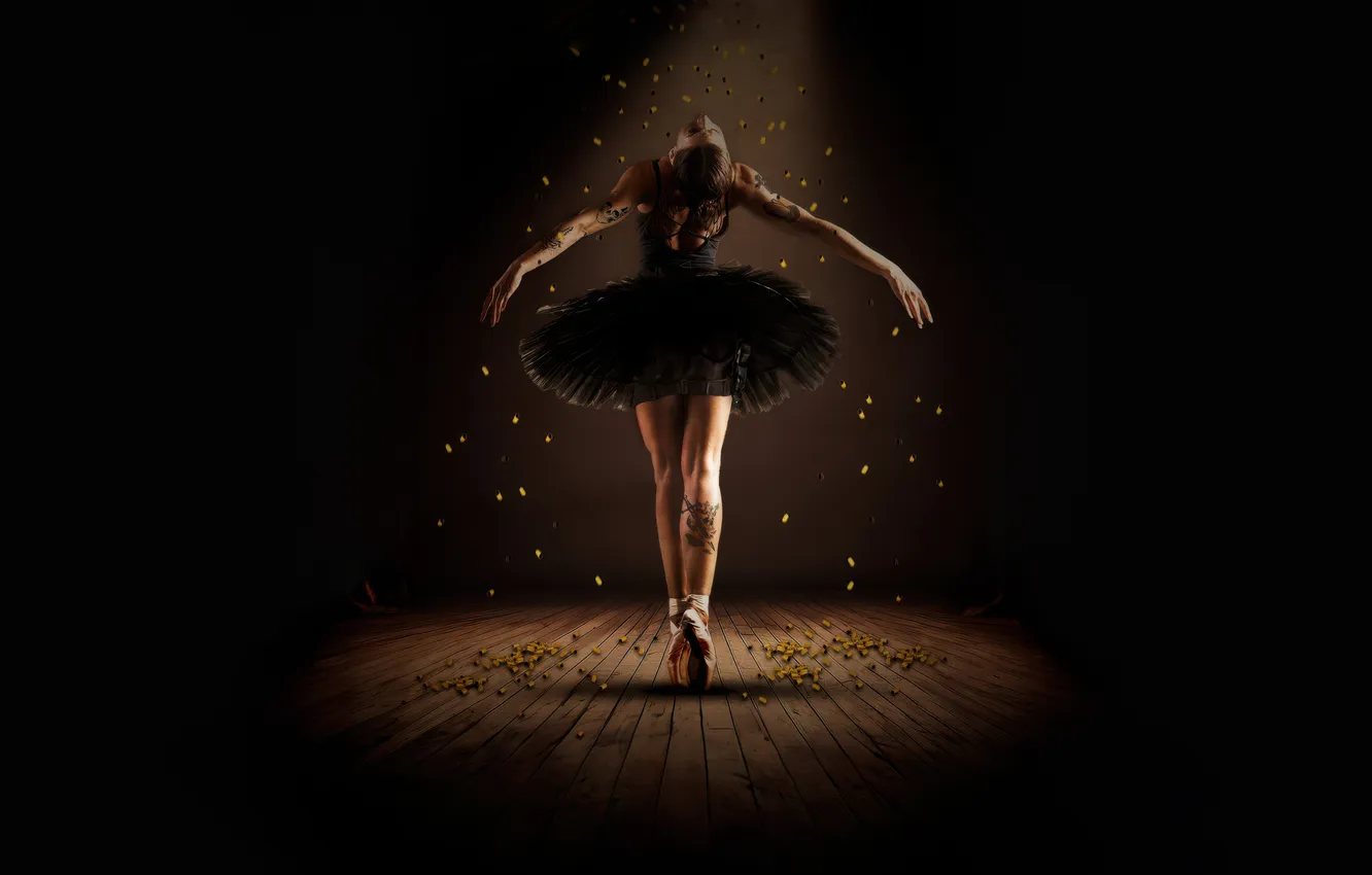 Photo wallpaper girl, ballerina, ballet, Ballerina, Ballerina 2025