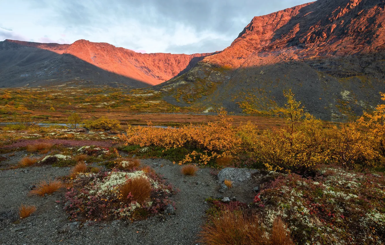 Photo wallpaper autumn, light, mountains, stones, the bushes