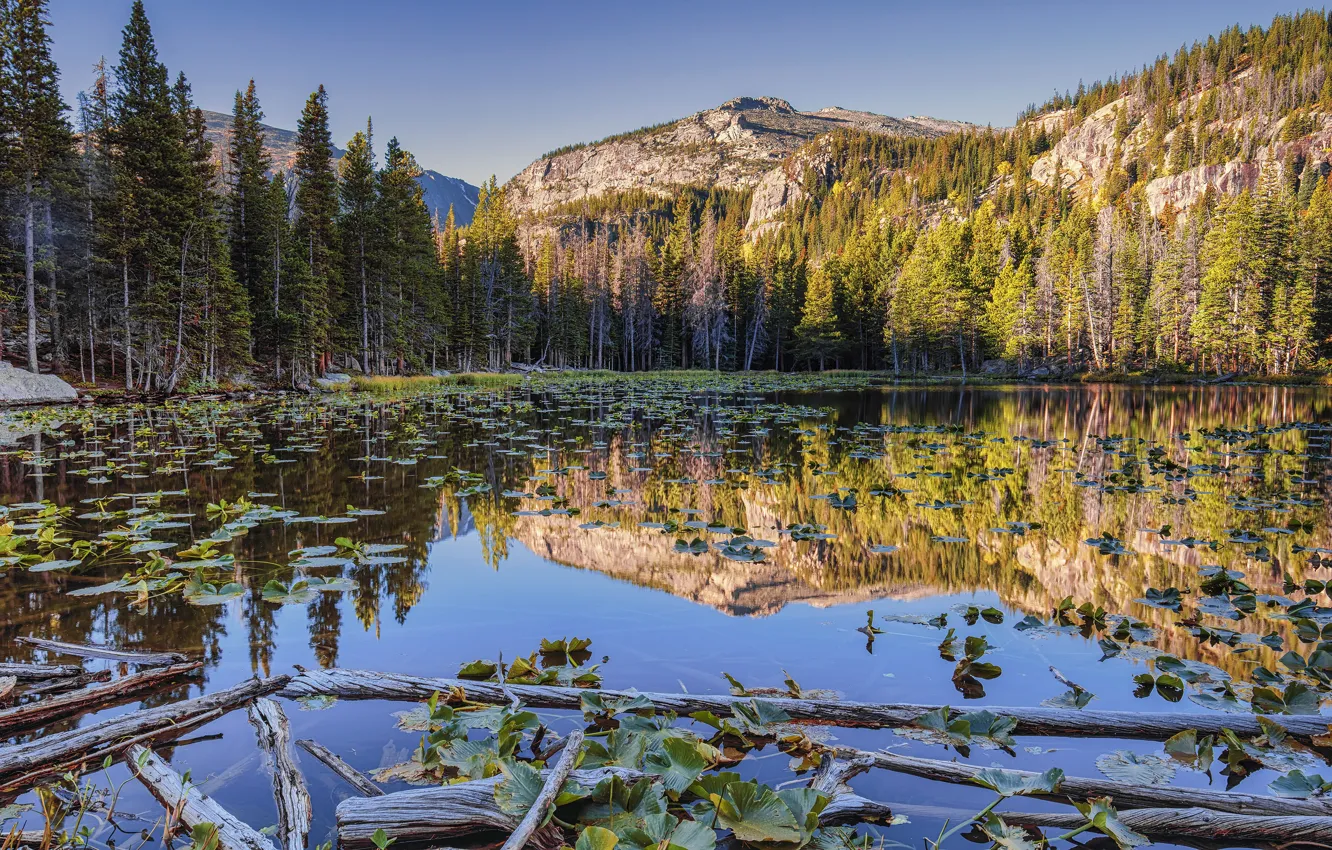 Photo wallpaper forest, the sky, leaves, light, mountains, lake, reflection, rocks