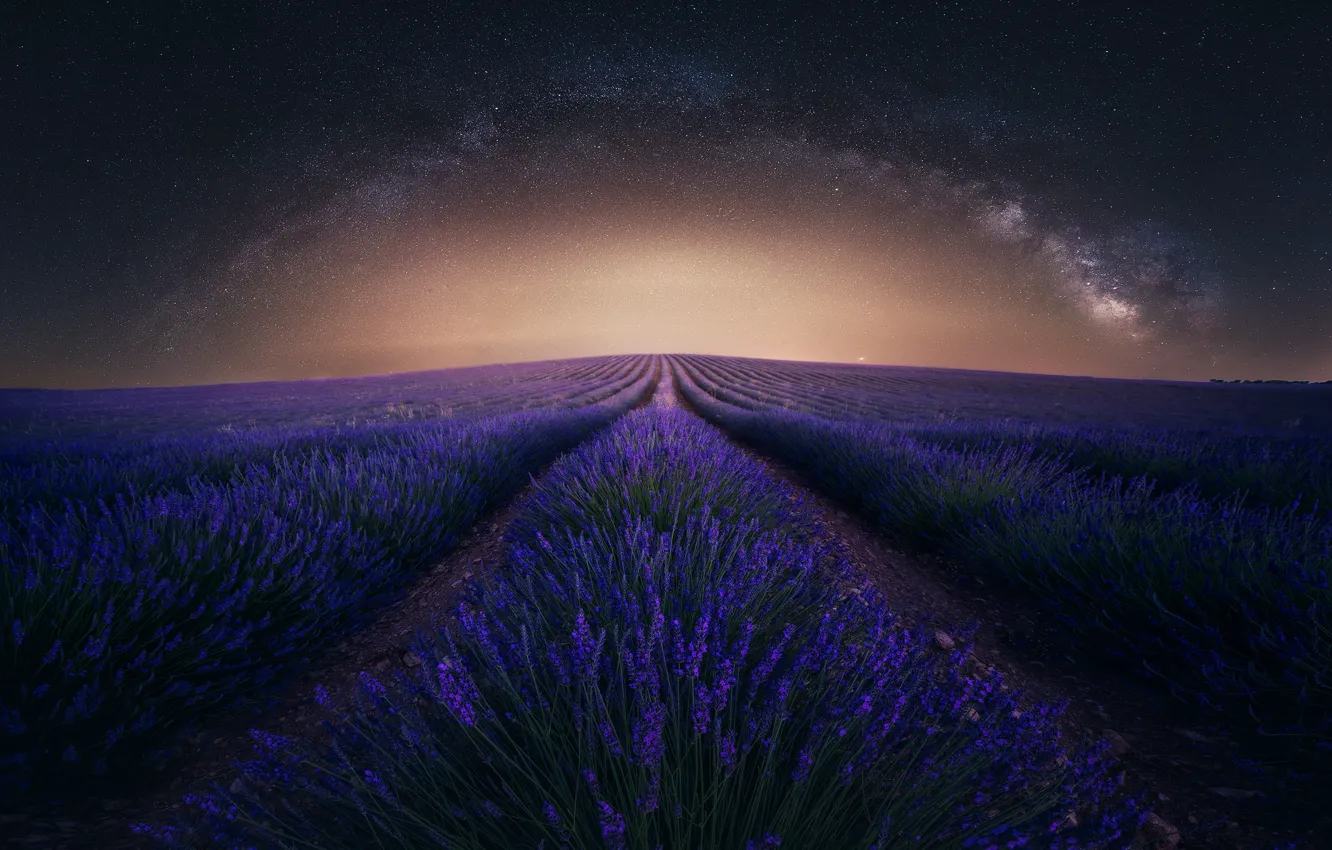 Photo wallpaper flowers, night, the milky way, lavender, lavender field