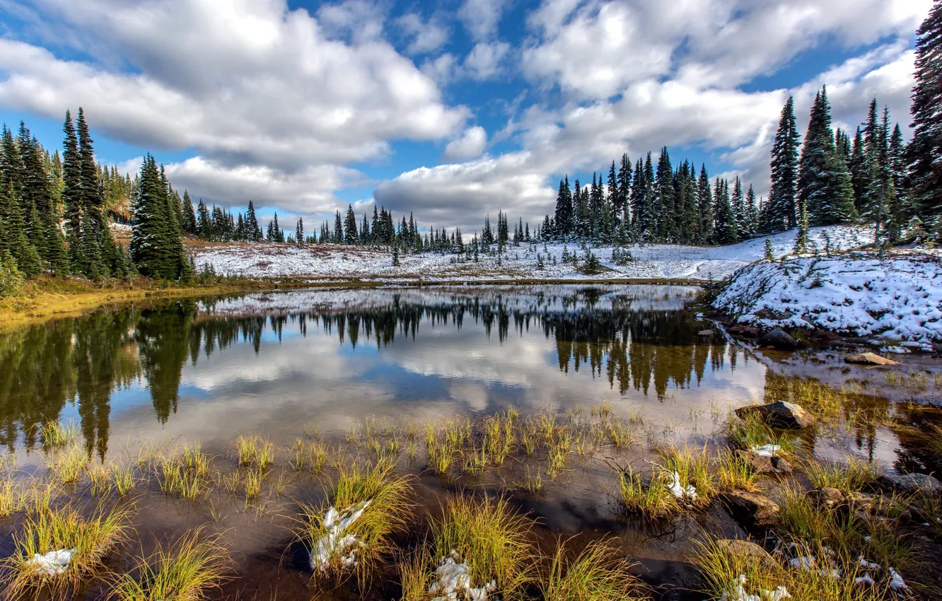 Photo wallpaper autumn, nature, Mount Rainier National Park