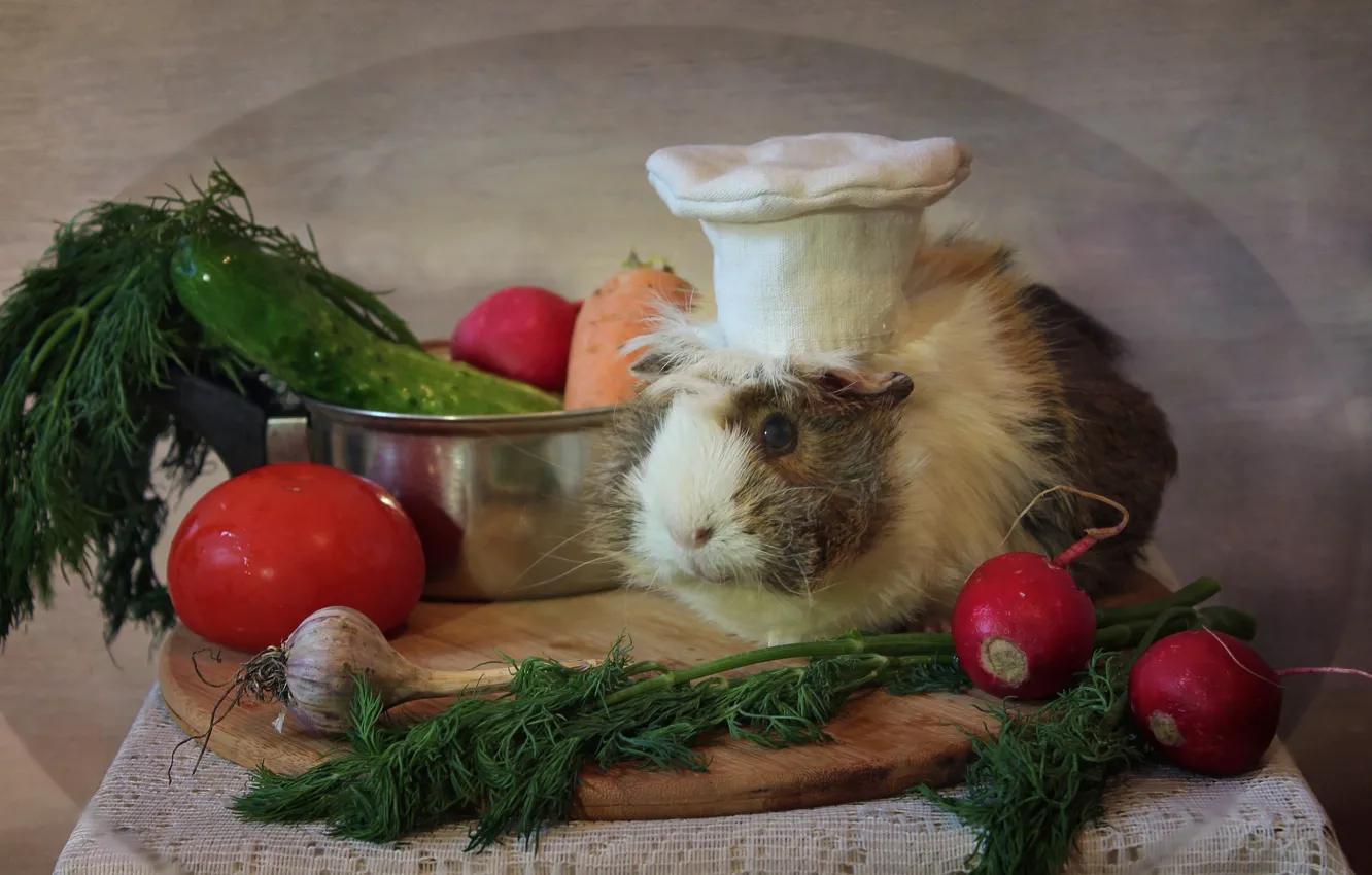 Photo wallpaper animals, spring, kitchen, may, vegetables, composition, Guinea pigs, female pig