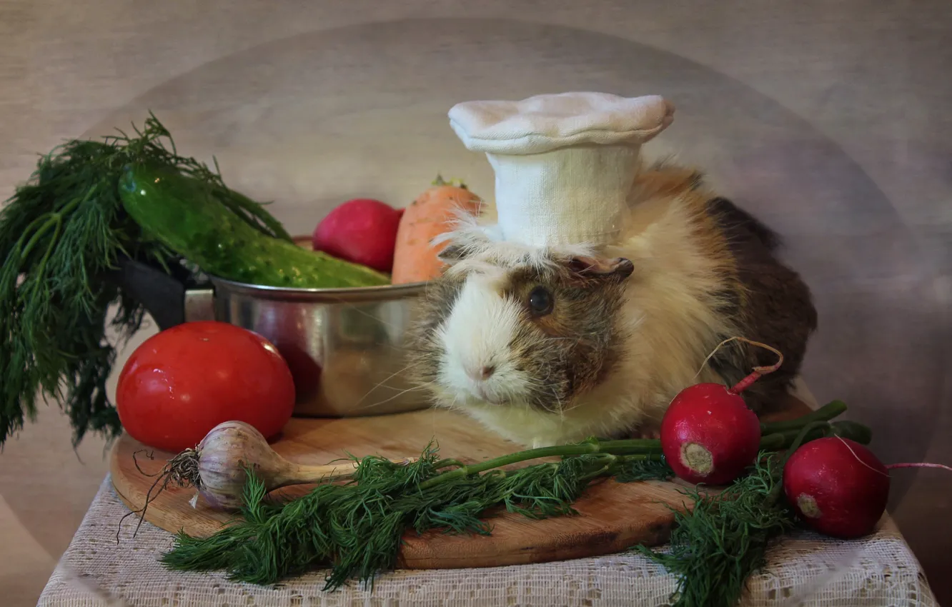 Photo wallpaper animal, spring, kitchen, may, vegetables, composition, Guinea pigs, female pig