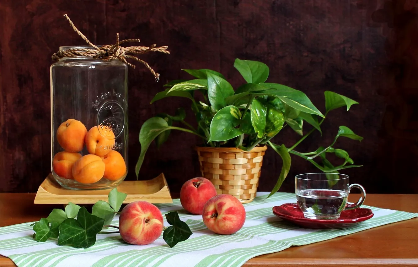 Photo wallpaper water, flowers, Cup, Bank, fruit, still life, peaches, apricots