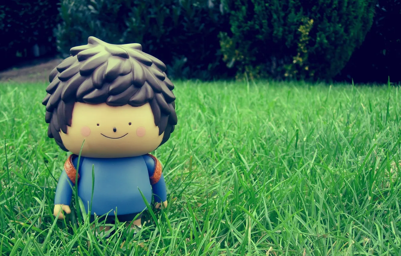 Photo wallpaper grass, smile, mood, toy, doll
