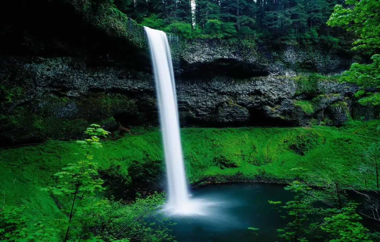 Photo wallpaper greens, water, rock, waterfall, Nature