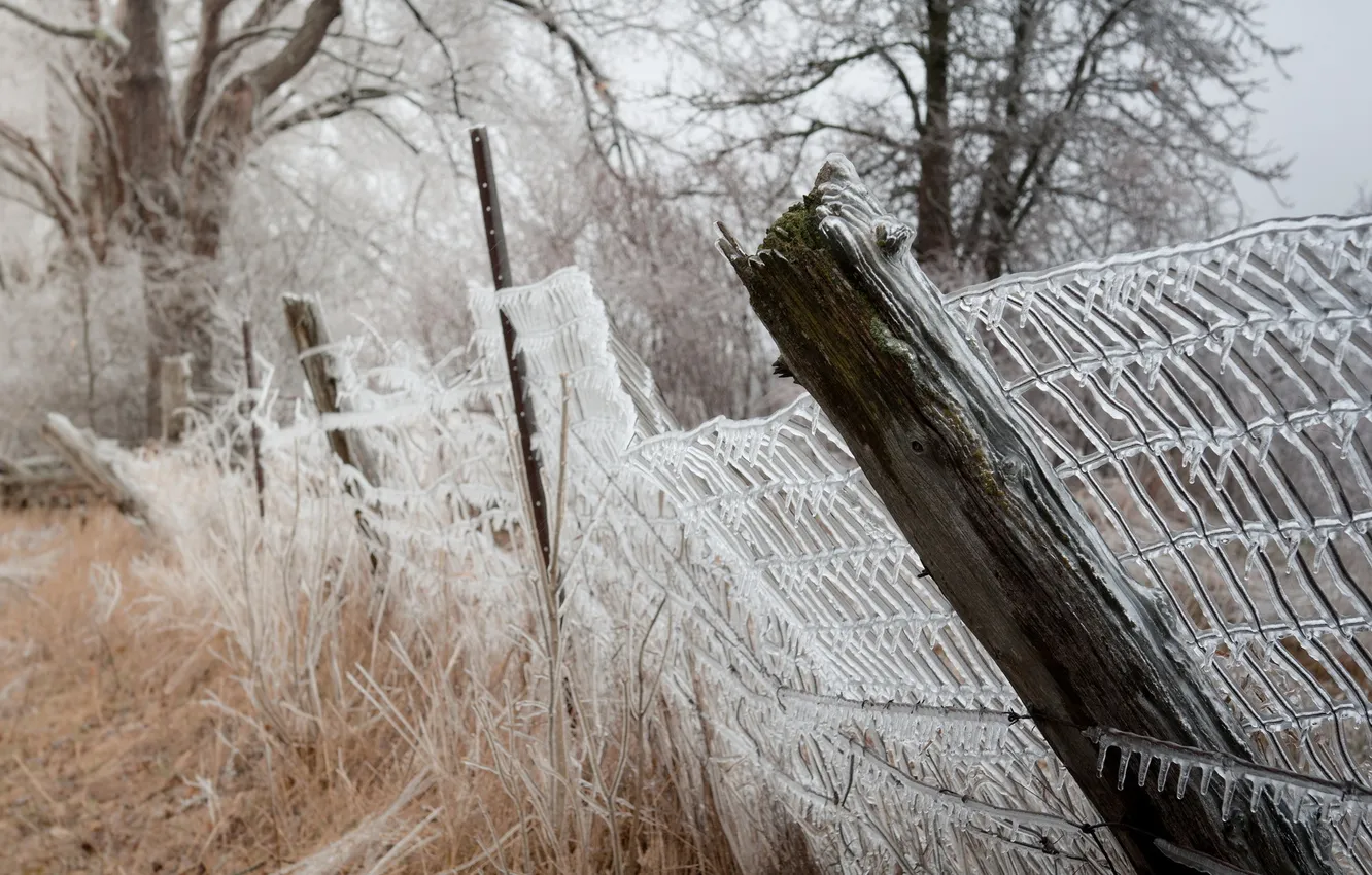 Photo wallpaper ice, nature, the fence