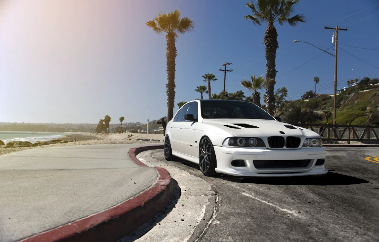 Photo wallpaper White, E39, Palm trees, M5