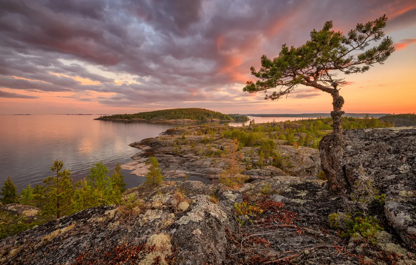 Photo wallpaper clouds, trees, landscape, horizon, space, pond, the beauty of nature, Evdokimov Maxim