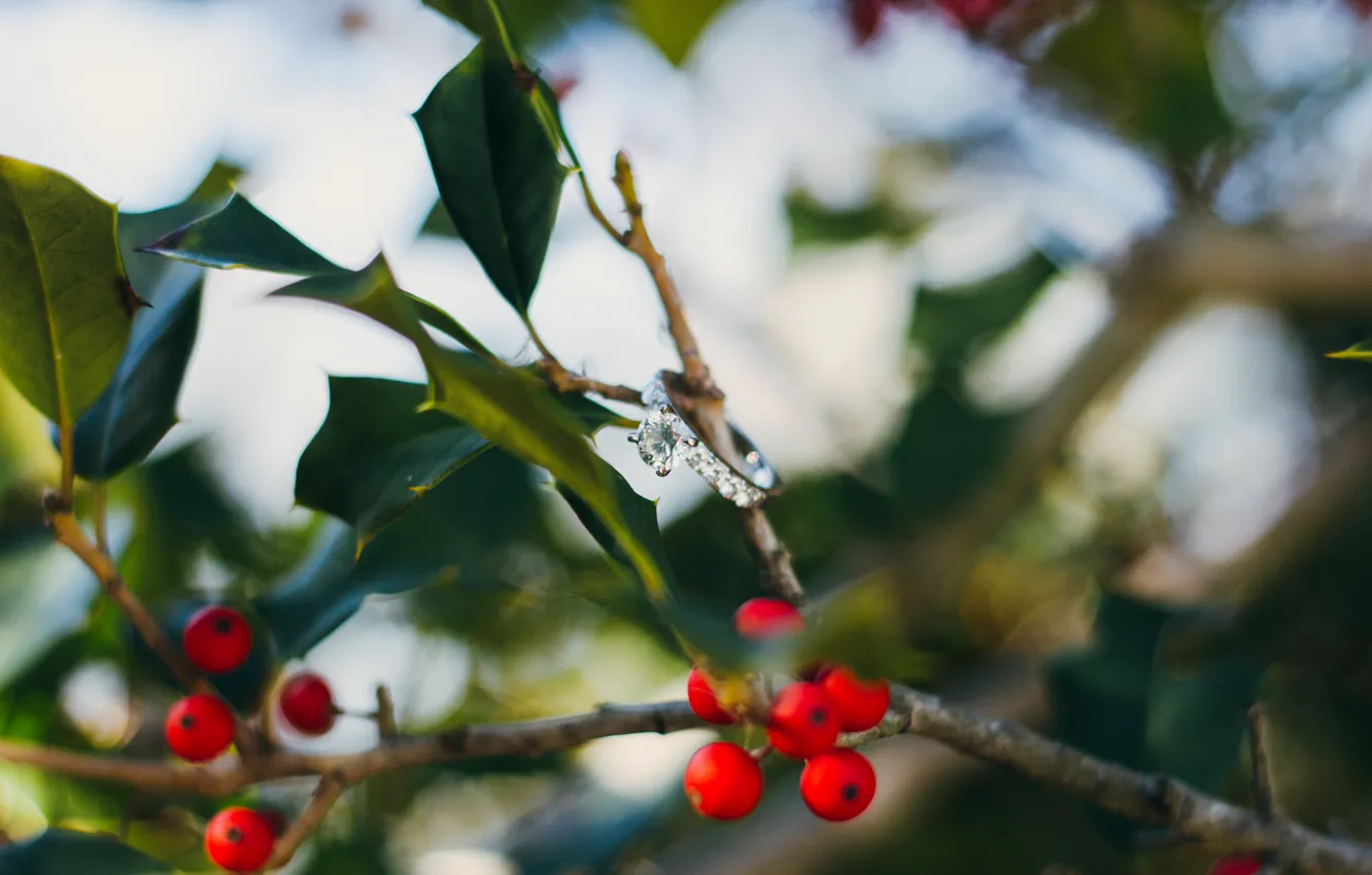 Photo wallpaper leaves, branches, berries, stone, ring, red