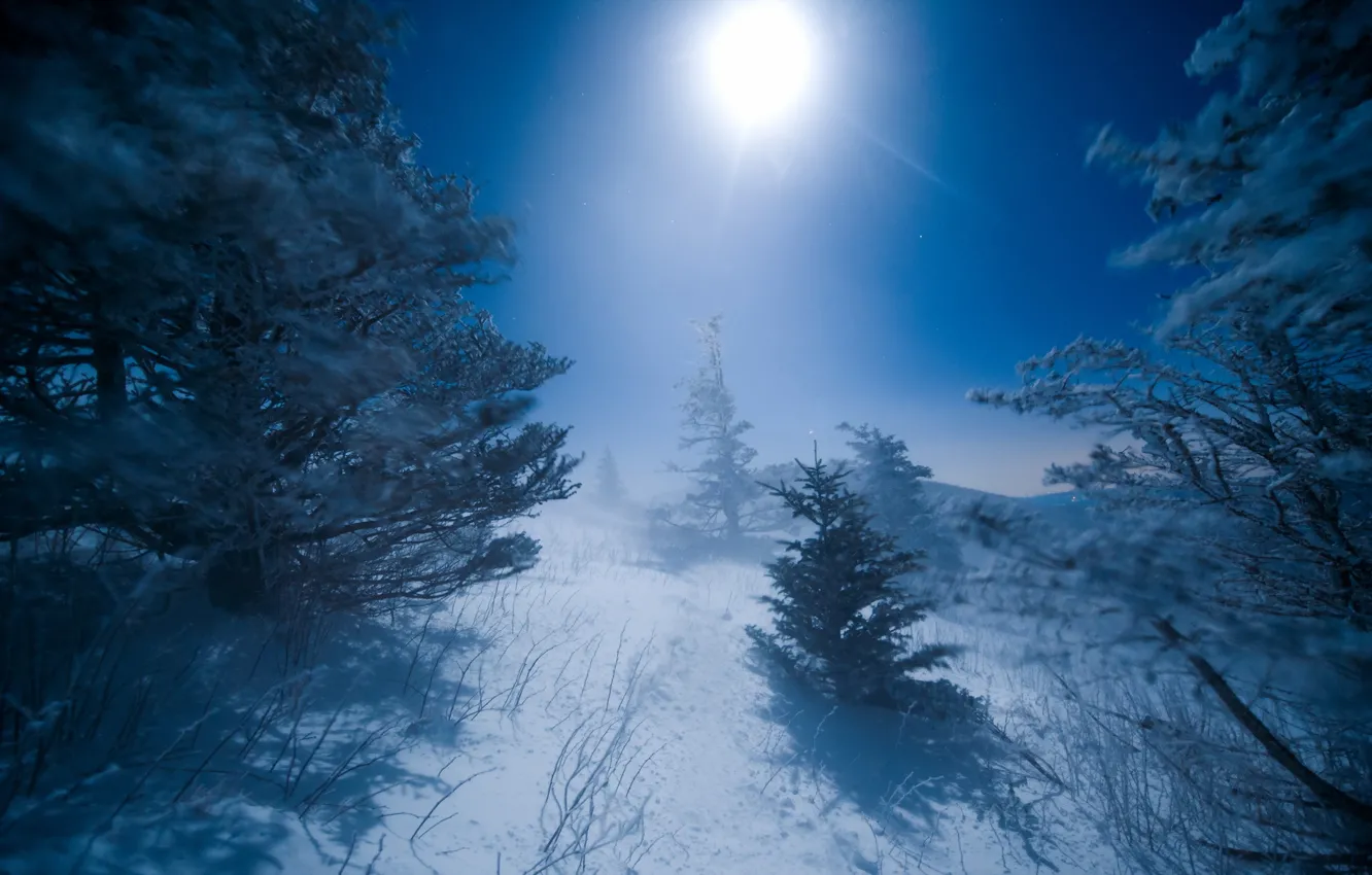 Photo wallpaper winter, landscape, night, the moon
