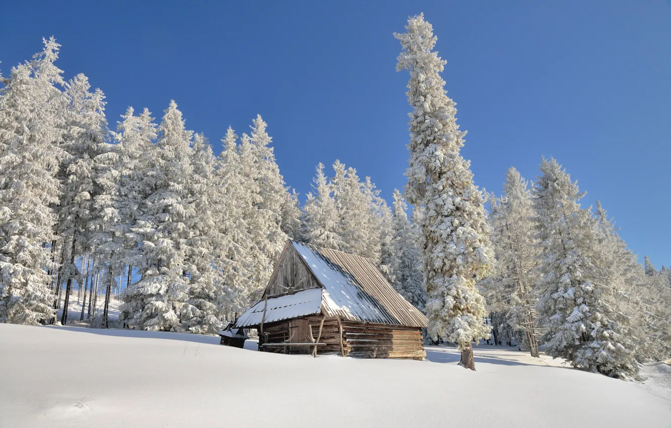 Photo wallpaper winter, the sun, snow, Poland, the shed