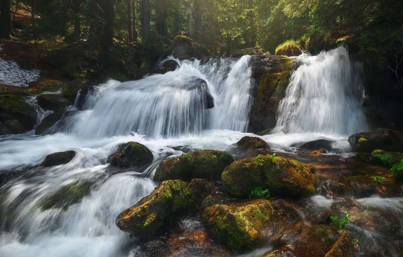Photo wallpaper forest, summer, stones, waterfall, moss, stream, stones