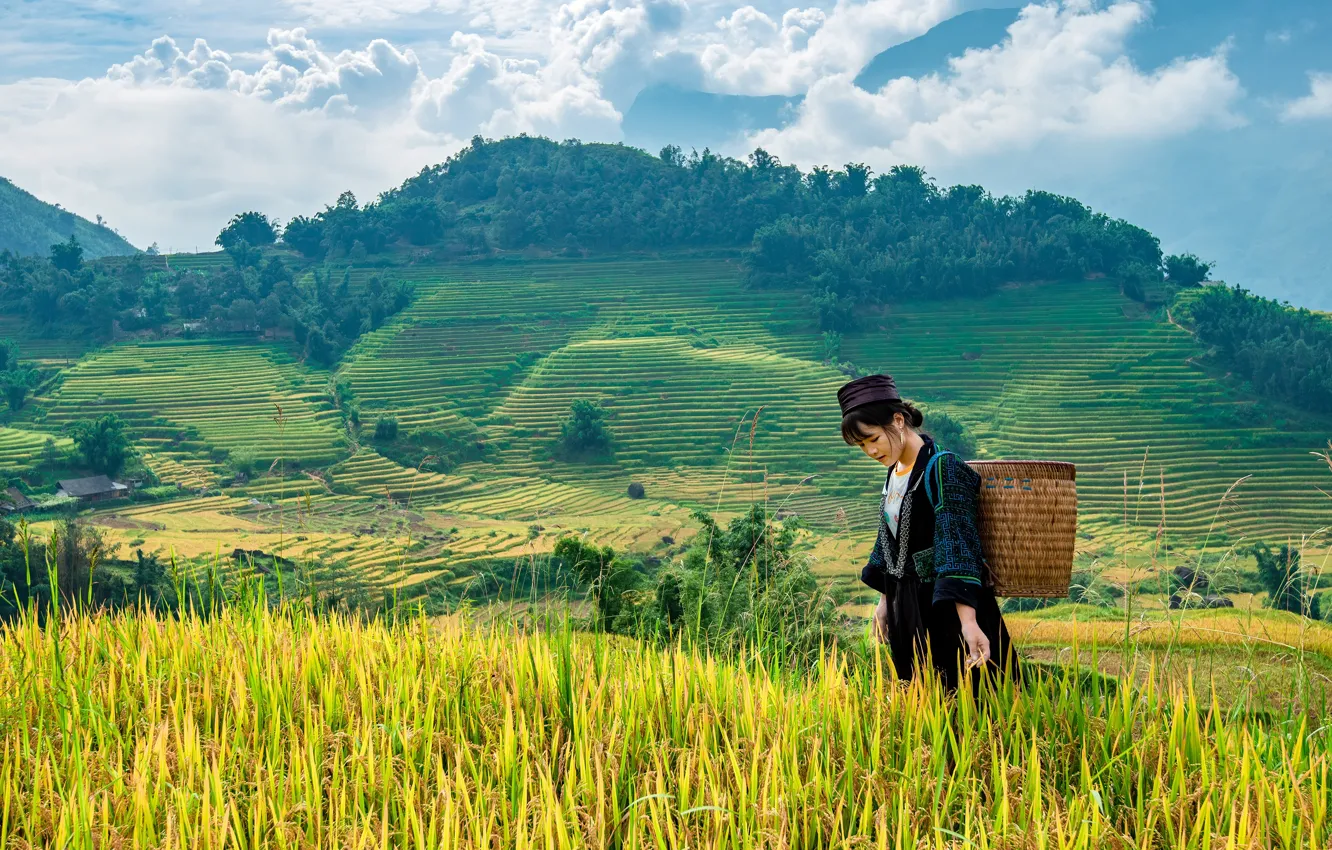 Photo wallpaper field, clouds, mountains, hills, woman, Asia, Asian, rice fields