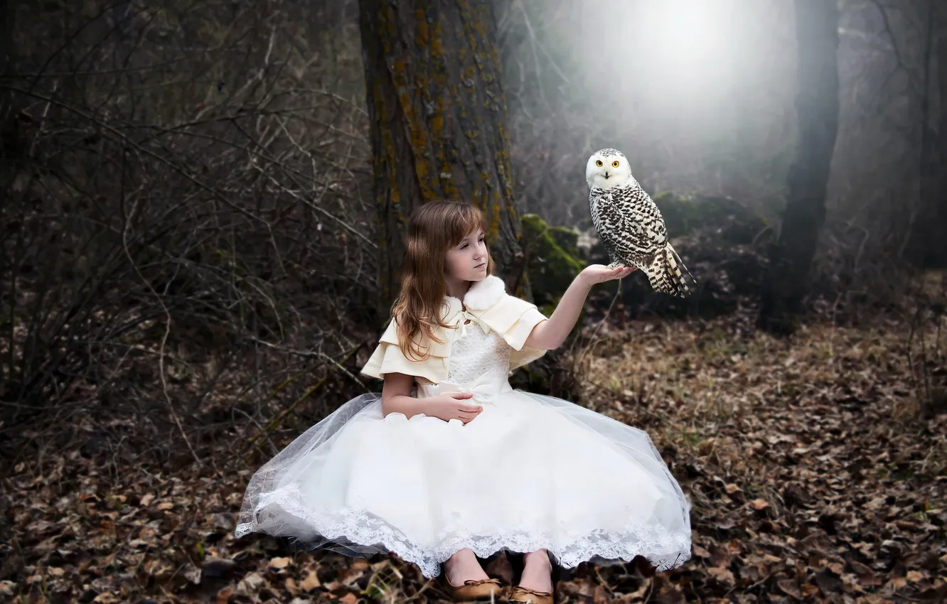 Photo wallpaper owl, bird, girl