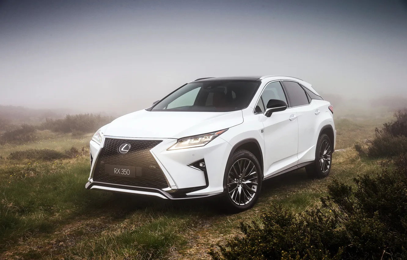 Photo wallpaper white, fog, Lexus, Lexus, crossover