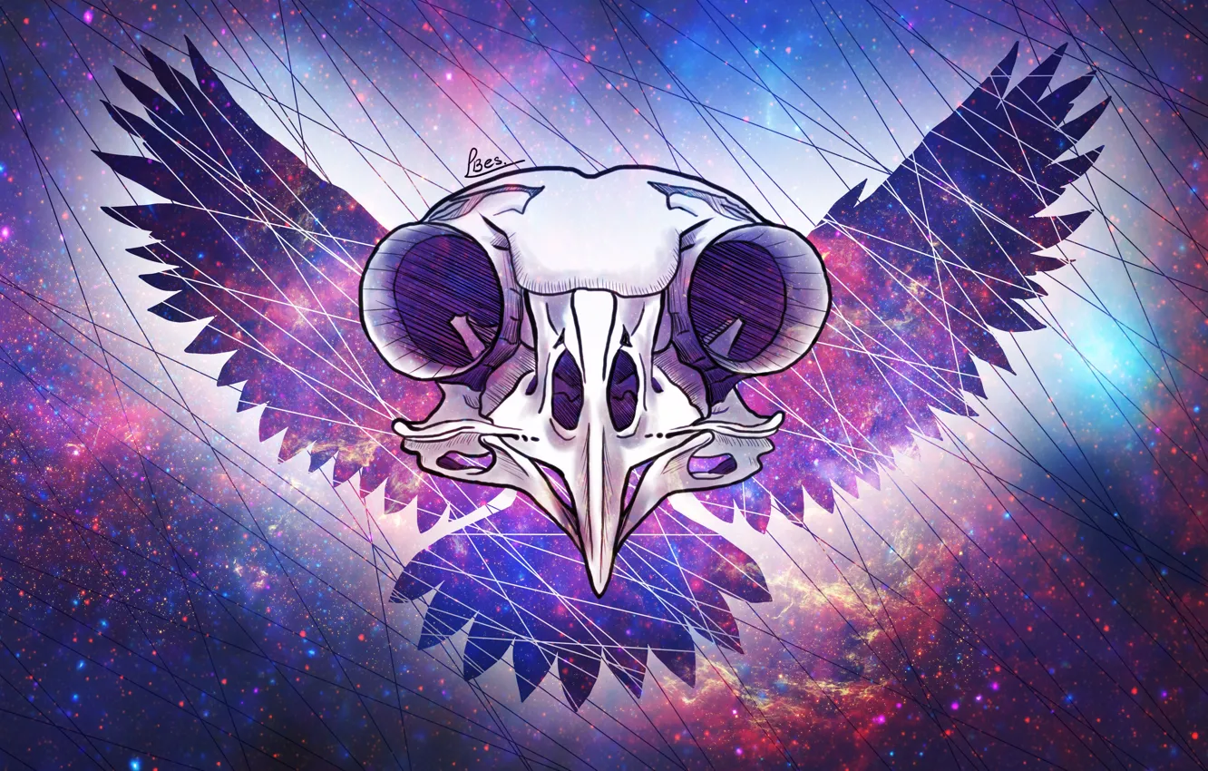 Photo wallpaper space, owl, skull, wings, LBes