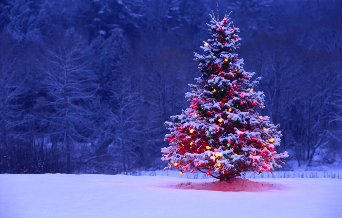 Photo wallpaper snow, lights, tree, backlight