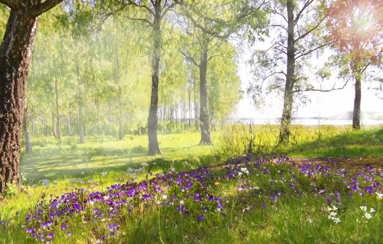 Photo wallpaper greens, forest, grass, light, trees, landscape, flowers, branches