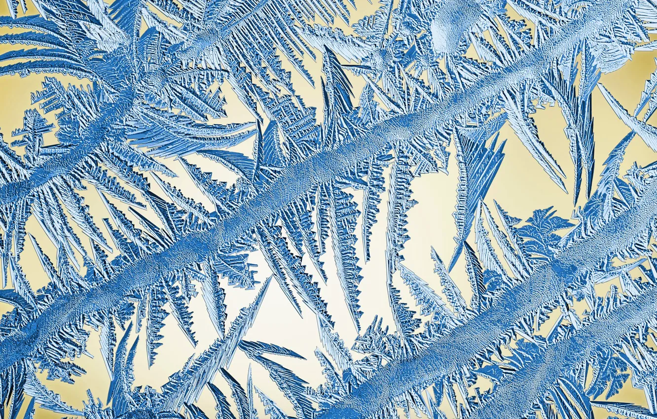 Photo wallpaper winter, frost, glass, pattern, frost