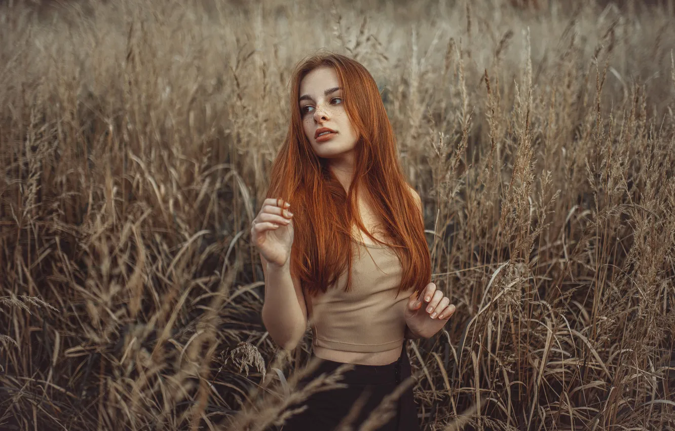 Photo wallpaper field, girl, pose, red, redhead, long hair, Jiří Tulach