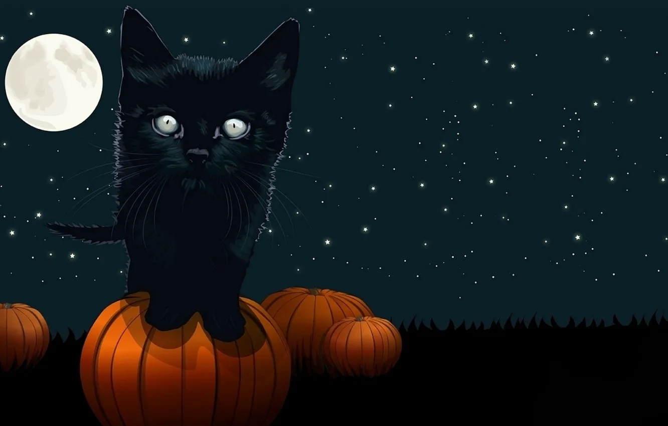 Photo wallpaper night, holiday, Halloween